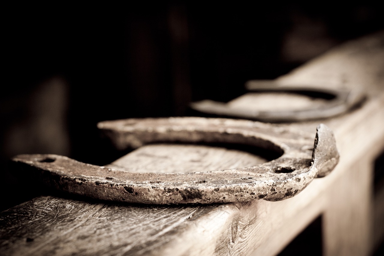 horseshoe, metal horseshoe, old horseshoe-110987.jpg
